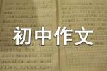 愛(ài)國(guó)初中作文