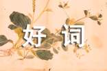好詞摘抄兩個字