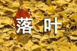 大班語(yǔ)言落葉教案