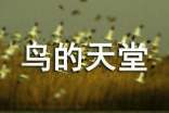 語(yǔ)文《鳥(niǎo)的天堂》教學(xué)實(shí)錄
