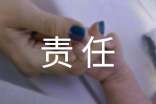 責(zé)任擔(dān)當(dāng)實(shí)踐報(bào)告