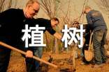 植樹(shù)看圖寫話(共15篇)