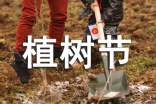 植樹節(jié)祝福短信15篇