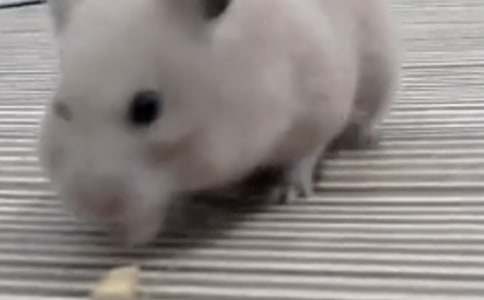 ��(d��ng)��}(c��ng)������150�֣�ͨ��4ƪ��