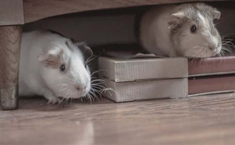 С�}�������