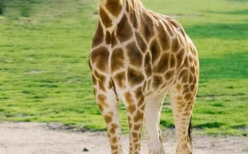 ���D��Ԓ������L�i¹����С���^��