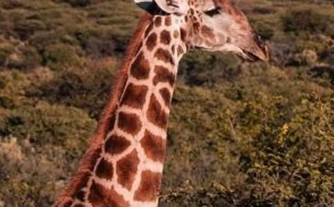 �������L�i¹������15ƪ