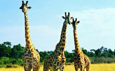 ������L�i¹��������^�ӿ��D��Ԓ���᡿