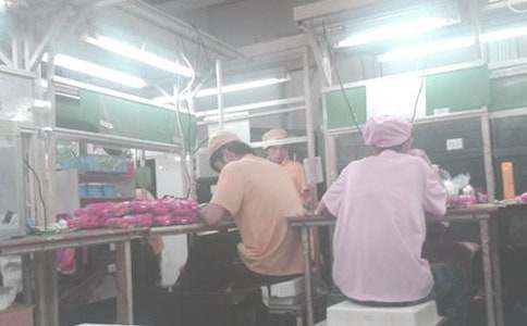 �����A��܇(ch��)�g�M�L(zh��ng)�Ĺ���؟(z��)15ƪ