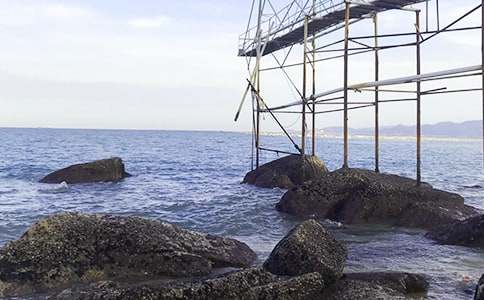 �󺣌���������