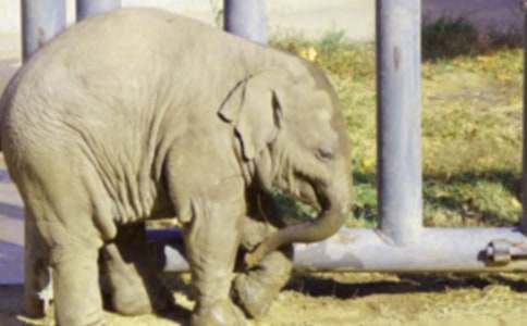 ����С�����^(gu��)�ӿ��D��Ԓ