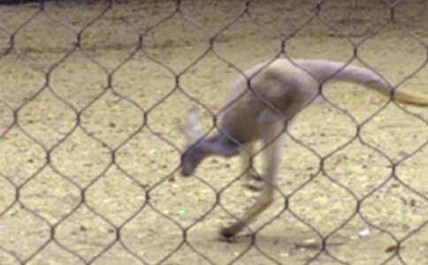 ���������15ƪ(����)