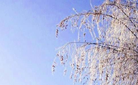 �P(gu��n)�����꼉��������4ƪ