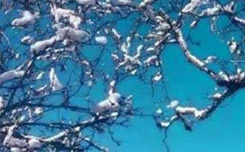 ���꼉(j��)���쌑(xi��)������