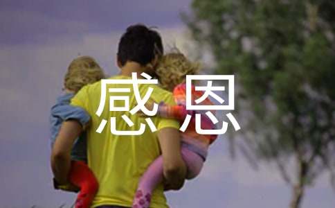 �ж��Ĺ��£����\15ƪ��