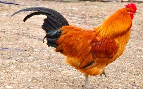 [���A]���u����