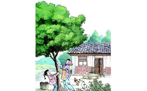 (���A)�����꡷�n��15ƪ