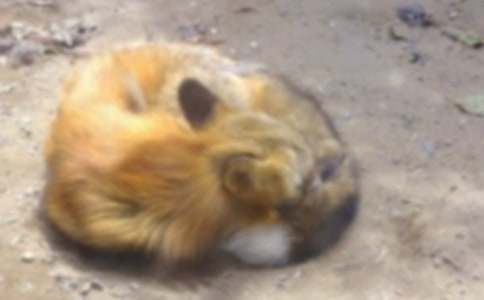 ��؂�c���f�Ĺ���