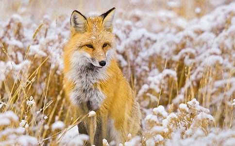 ���f�c��؂����(y��u)�x[15ƪ]