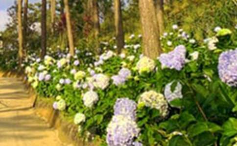 �λ��@����