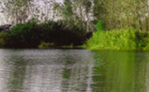 �茑��ɫ���~�Z