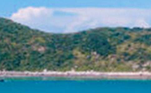 �茑��ɫ���~�Z(y��)���؂�15ƪ��