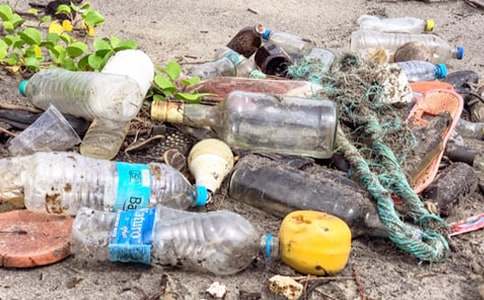 ���������D��(xi��)Ԓ(hu��)