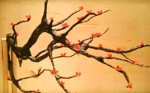 �D÷��ʢ�__�茑��������