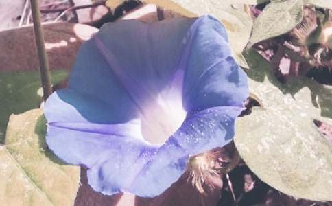 ���������ġ��]��