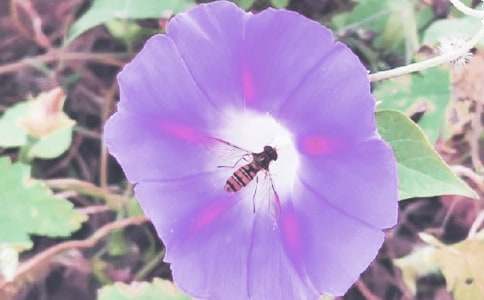 ����������(���x15ƪ)