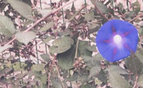 ����������(����15ƪ)