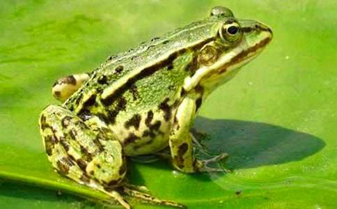 �а��w���̰�����������