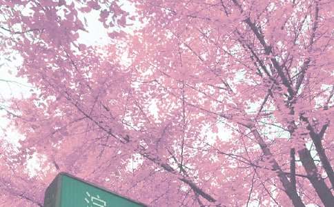 �Ґ��＾����(���\15ƪ)