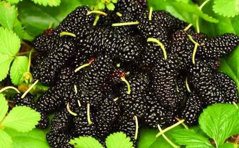 ժɣ�����Č���15ƪ