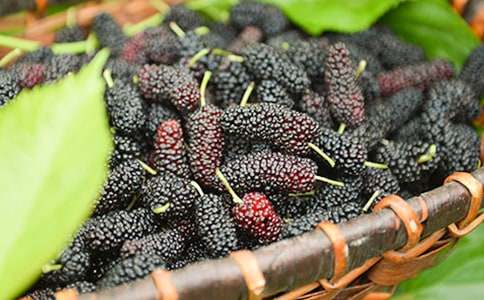 ժɣ�����ı؂䡾15ƪ��