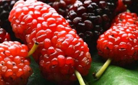 ժɣ�����ă�(y��u)�x[15ƪ]