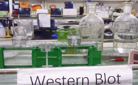 ����ҵ���K���Y(ji��)����