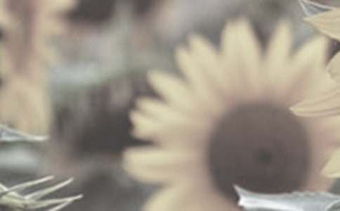 ̫ꖻ�������600����ƪ