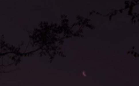 �������Z������