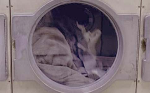 洗衣房年度工作總結(jié)范文