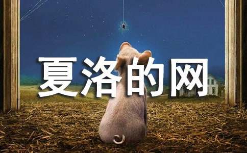 夏洛的網(wǎng)讀后感(集錦15篇)