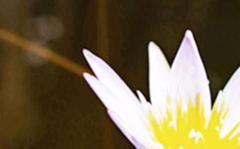 ������(ji��)��̾�