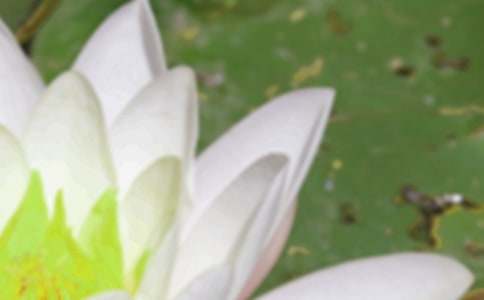 �����ĺ��x���L��