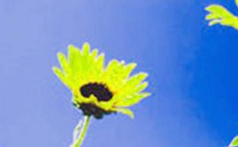 �����x�������տ�������