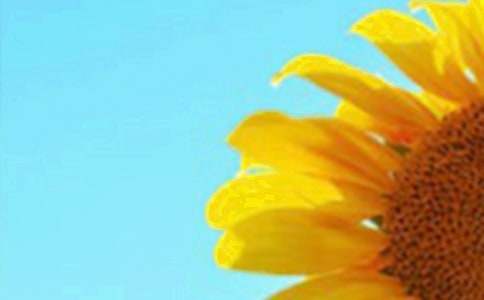 �����տ�������