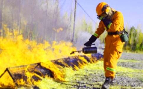 (���])�����ݾ�Ӌ��