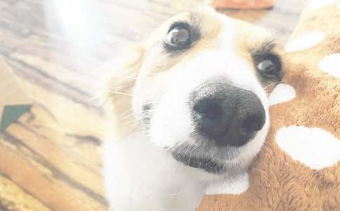 ���꼉(j��)���D��ԒС���������^�^��