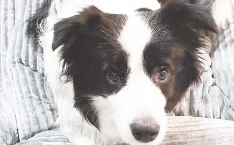 С����������(13ƪ)