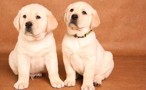 ���P(gu��n)С�W(xu��)���ɐ�(��i)��С�����ąR��4ƪ