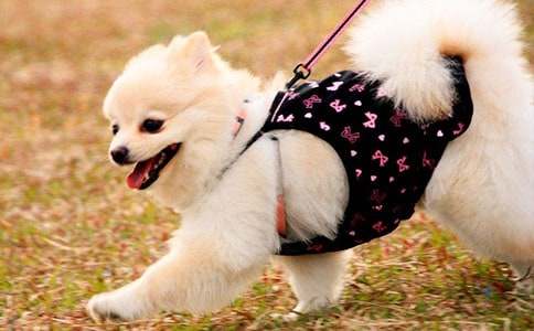 �ҵ�`�����������꼉С��